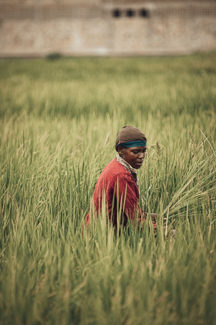 AGRICULTURE LOAN